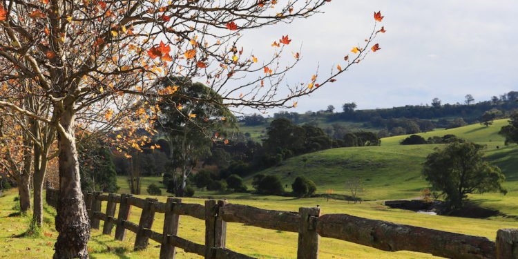 Autumnal-Landscape-in-Bowral-NSW.-Image-by-Martha-Almeyda-via-Shutterstock.-750x375.jpg