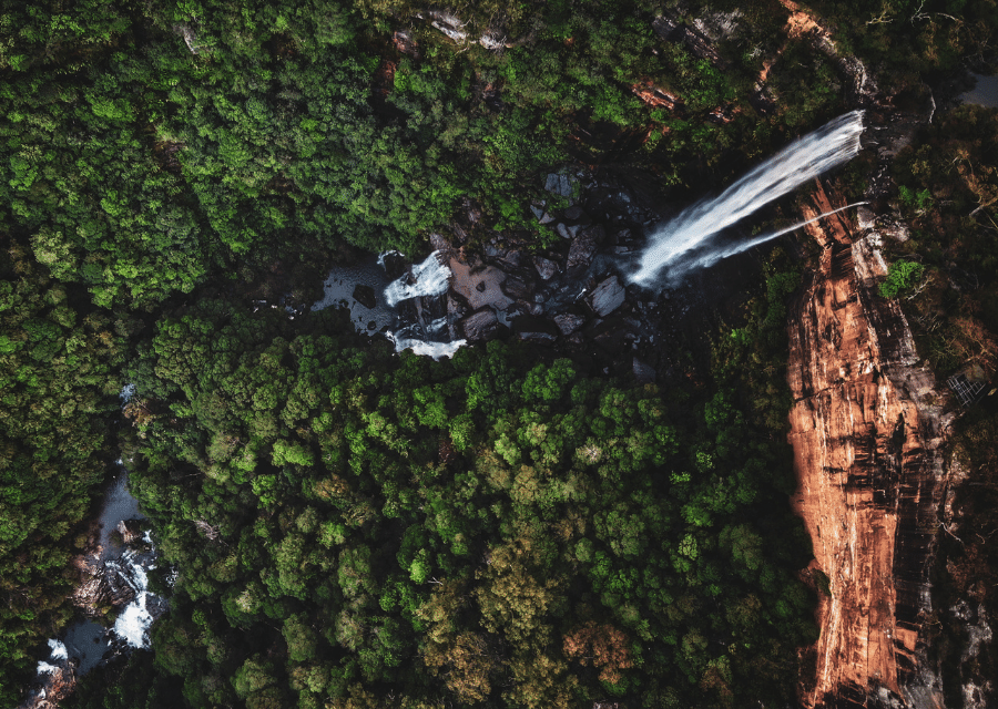 sitemgr_1 The Fold Southern Highlands Explore Fitzroy Falls.png