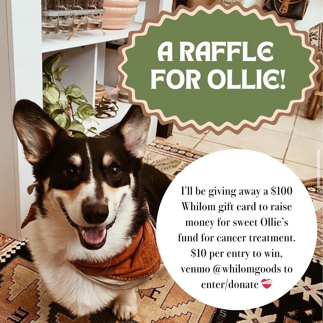 Our dear pal @heyannahambly&rsquo;s pup Ollie has been diagnosed with cancer and they could use some community love and support ❤️ Please consider helping our pals. I&rsquo;m giving away a $100 Whilom gift card, a $10 donation gets you an entry to wi