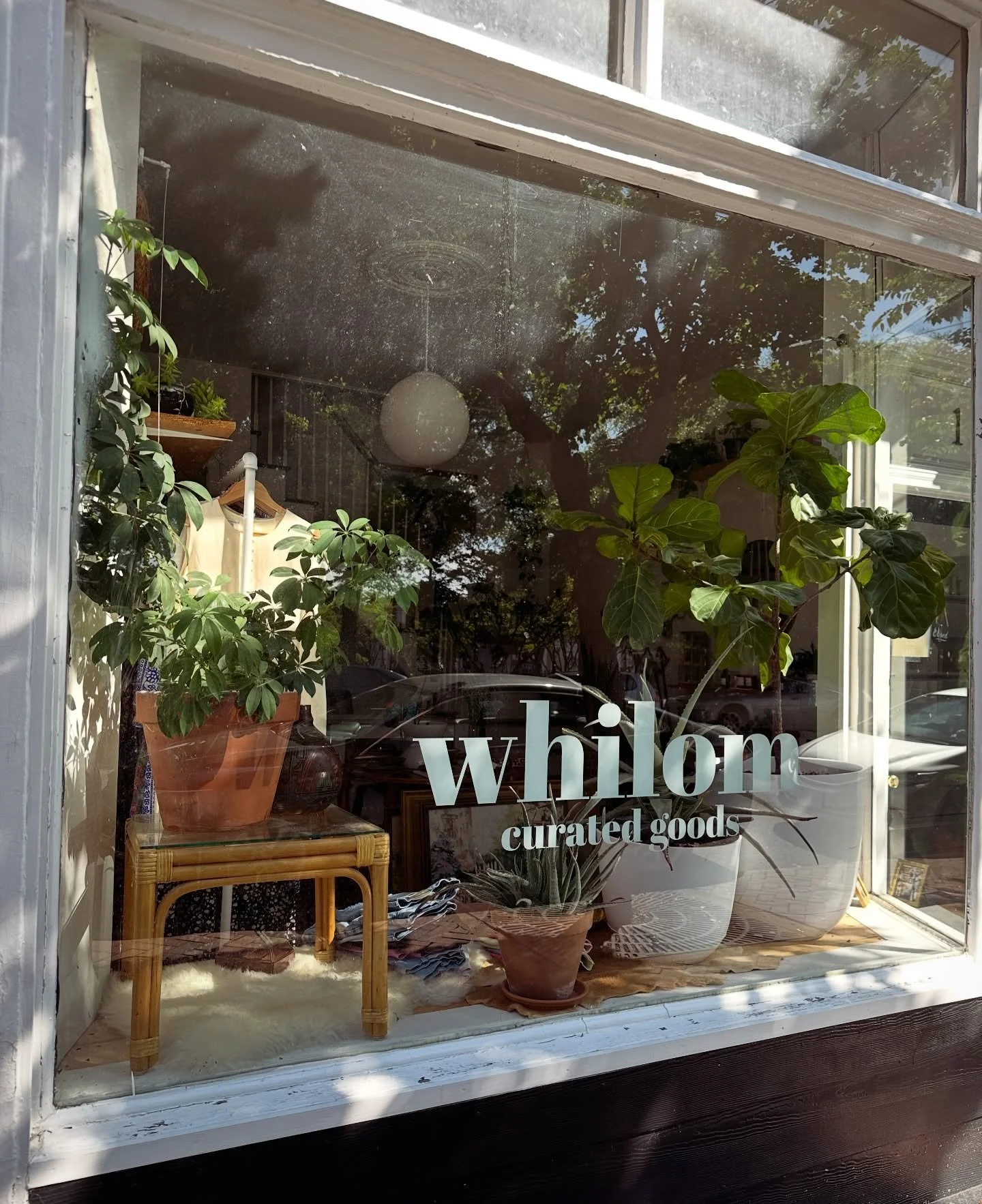 Hi pals! Here are some updates:

&bull; I don&rsquo;t think we&rsquo;ll see that art cabinet again and that&rsquo;s okay, but if anyone comes across a similar sized cabinet for sale lmk! It has to be pretty narrow to fit beside the shop door

&bull; 