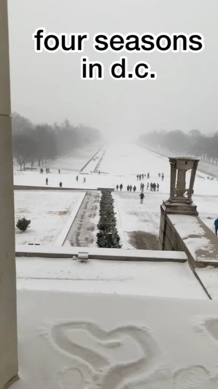 GWU Four Seasons Tiktok