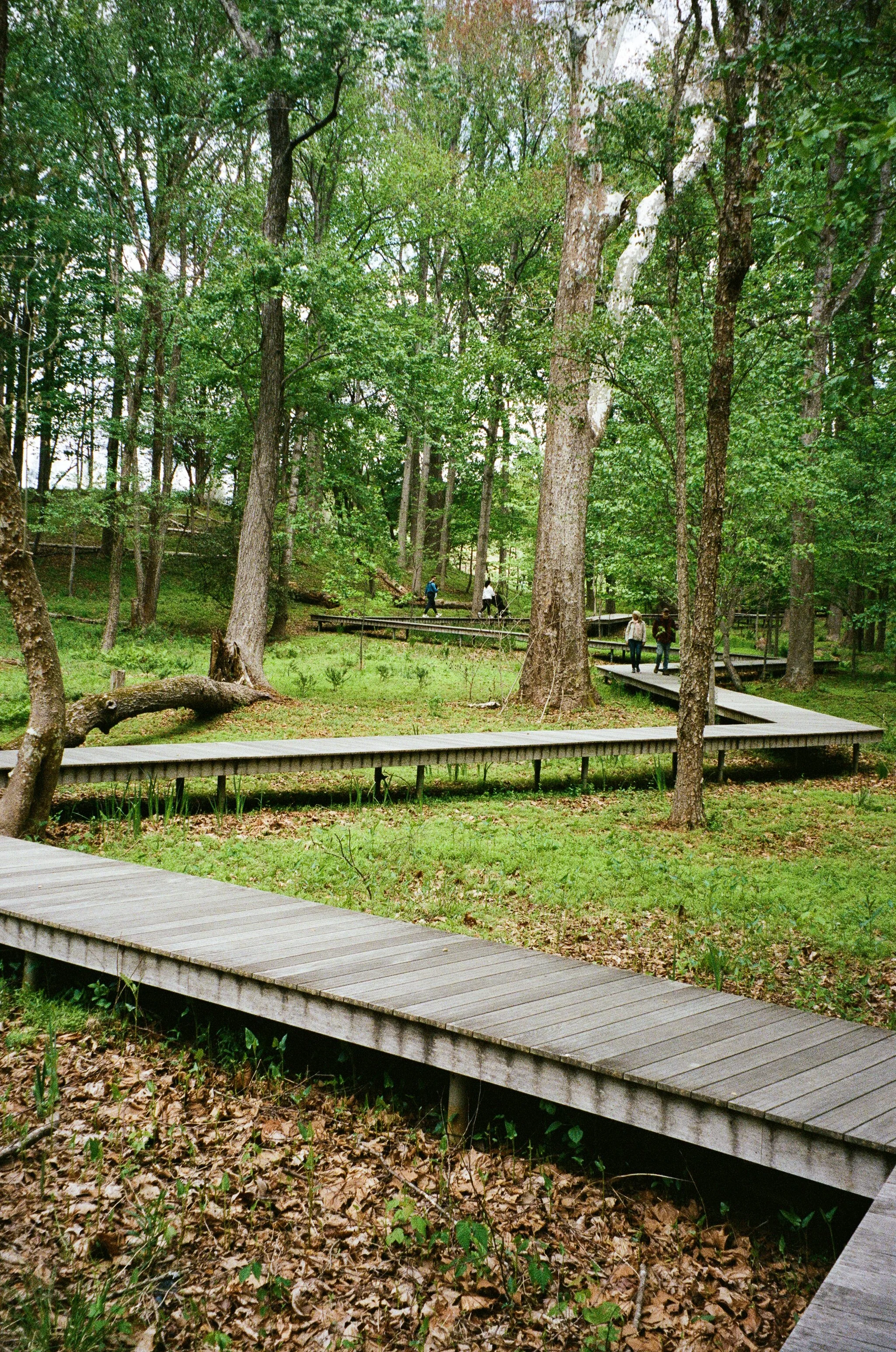 000051970019A.jpg