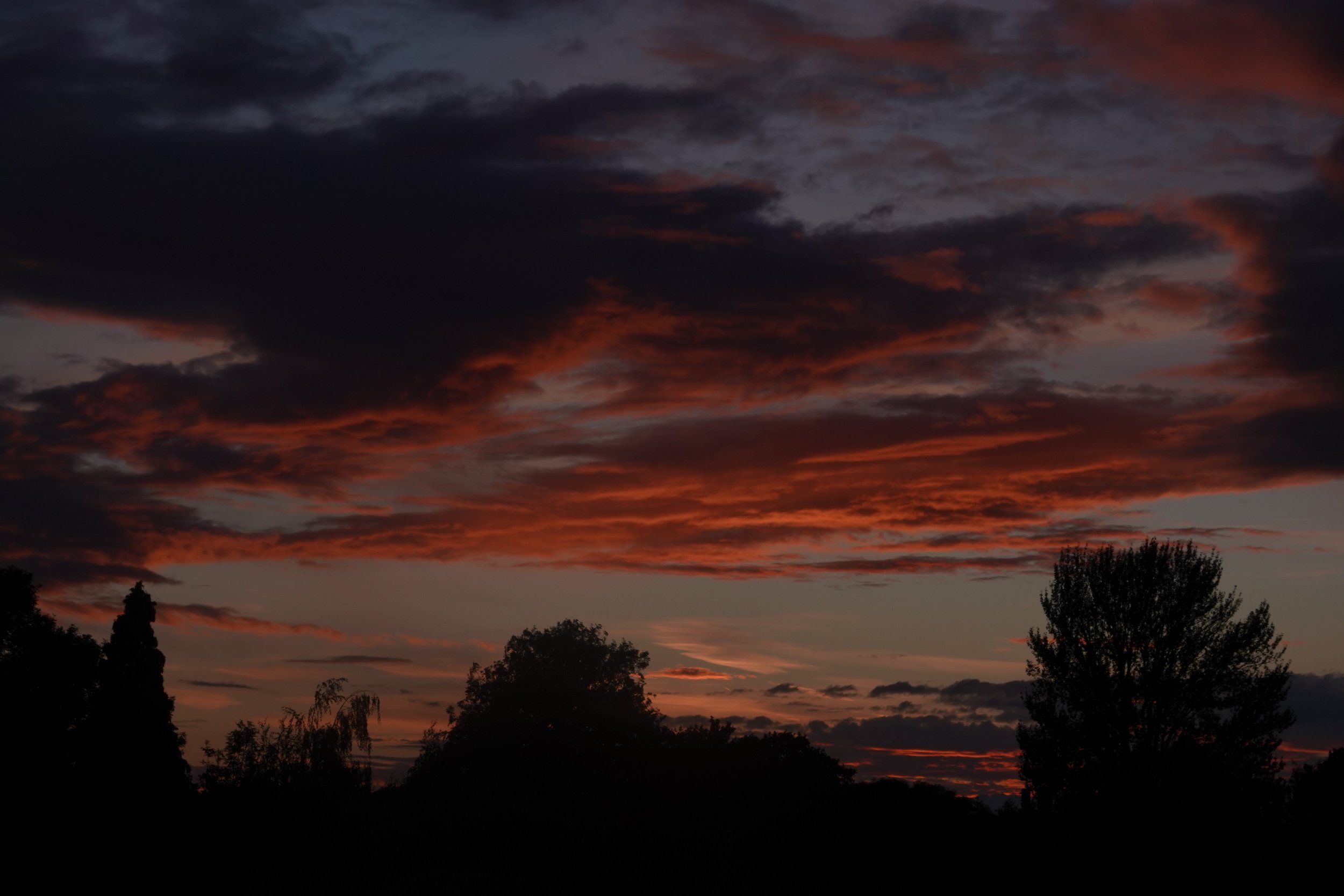 DSC08481.jpeg