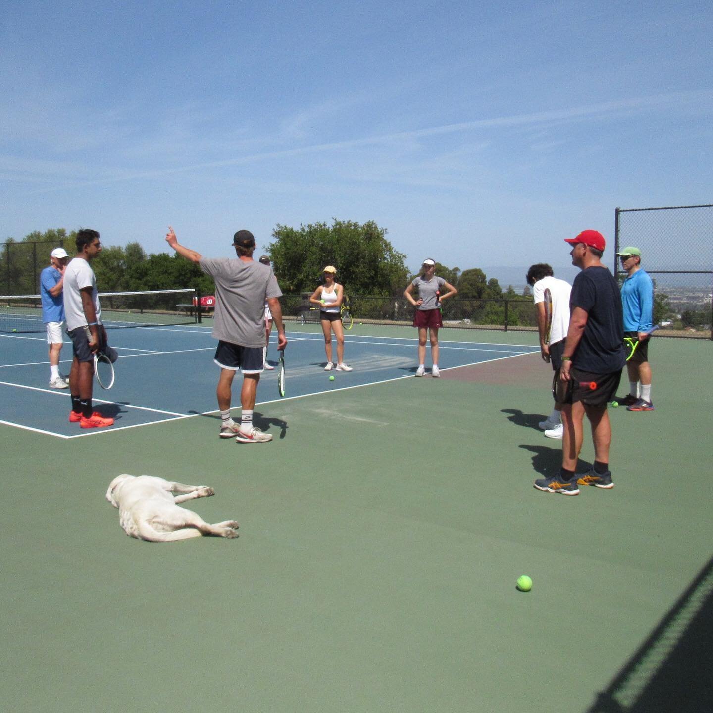 Super solid weekend of tennis. Great weather and a great crew of players. Lots of fun and improvement.

Shoutout to @connielouh1994 connielouh1994 for the photos.