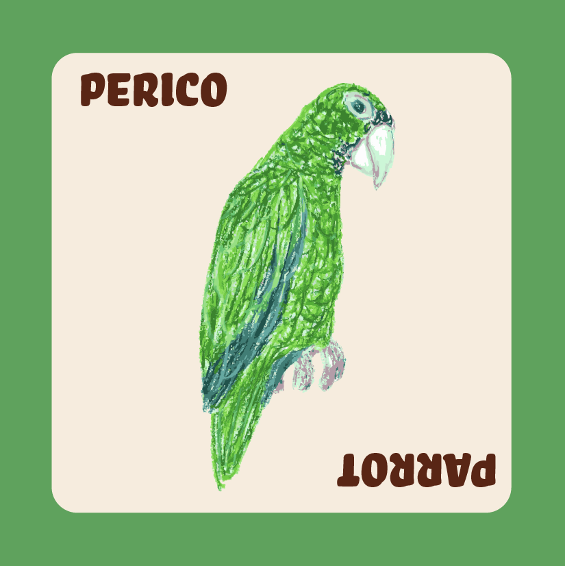 perico card new.png