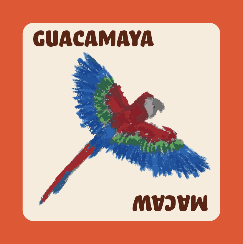 guacamaya card new.png
