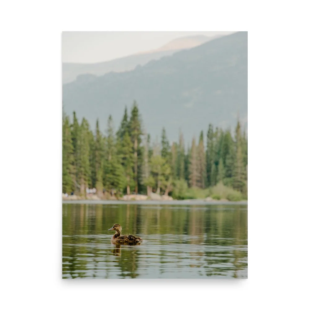 premium-luster-photo-paper-poster-(in)-18x24-front-630fe5d6e274d.jpg