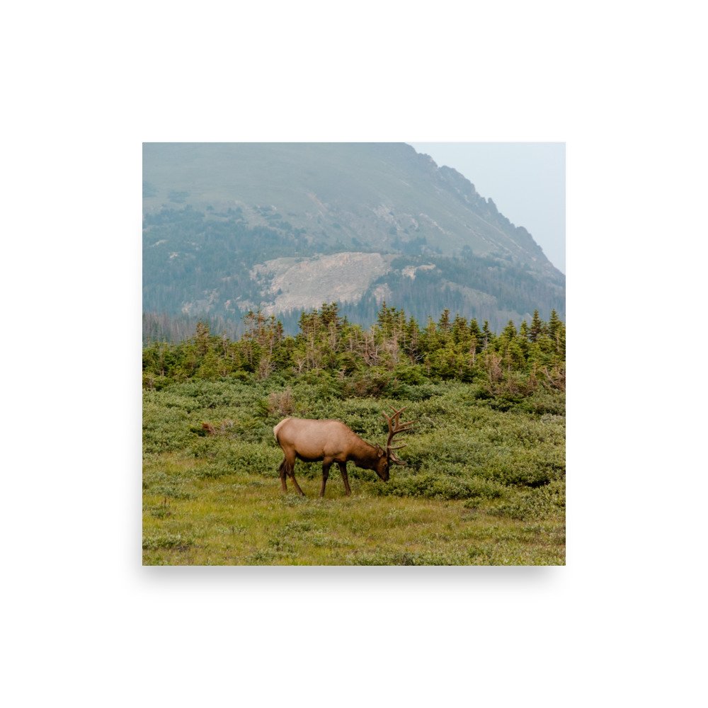 premium-luster-photo-paper-poster-(in)-10x10-front-630fe66c75c98.jpg
