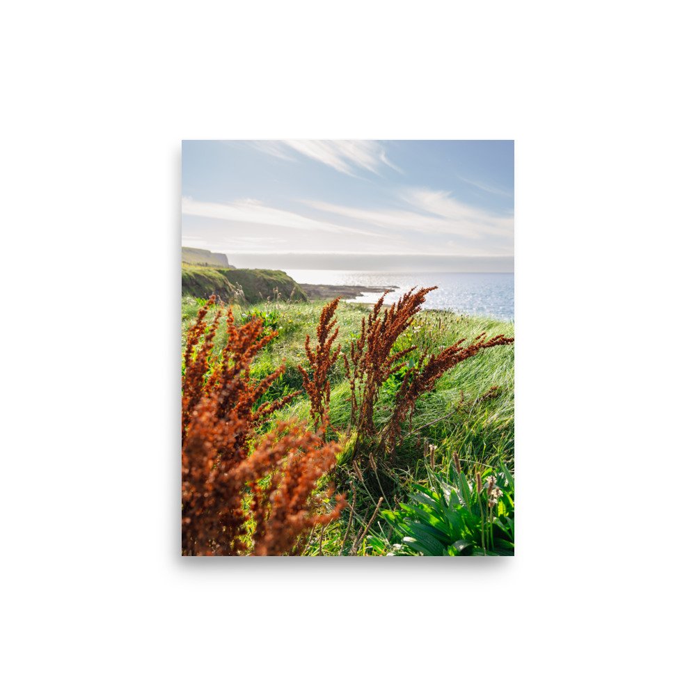 premium-luster-photo-paper-poster-(in)-8x10-front-636d14c9df65b.jpg