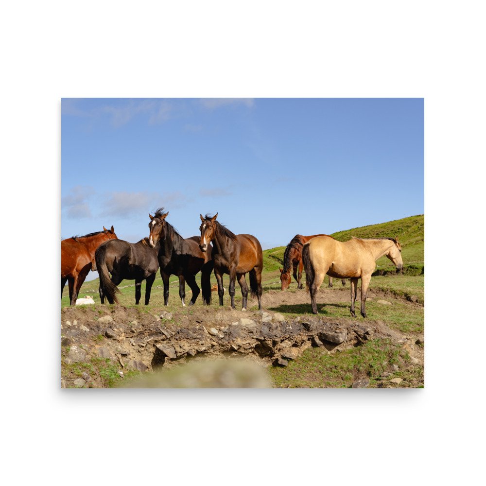 premium-luster-photo-paper-poster-(in)-16x20-front-636d15ff5c9d2.jpg