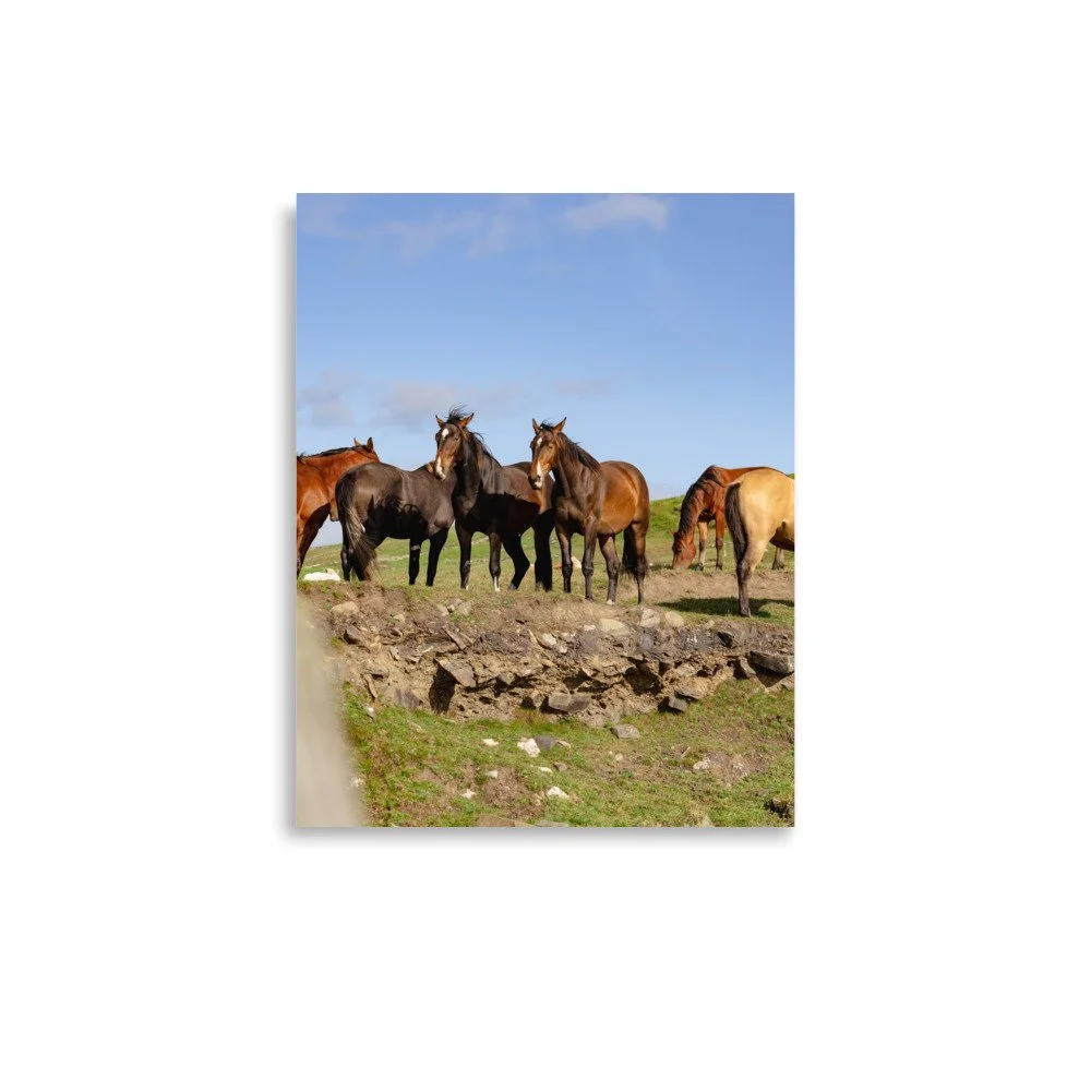 premium-luster-photo-paper-poster-(in)-11x14-front-636d1728d23f1.jpg