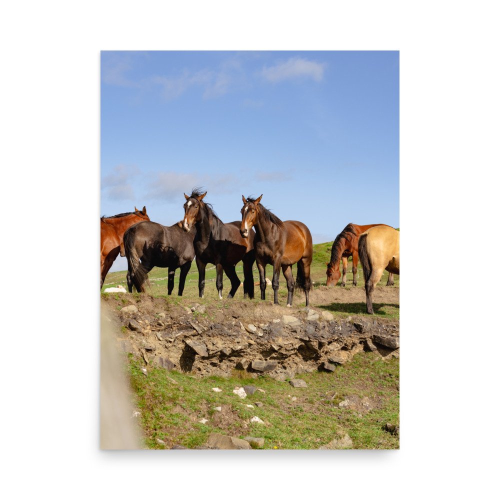 premium-luster-photo-paper-poster-(in)-18x24-front-636d1728d277d.jpg