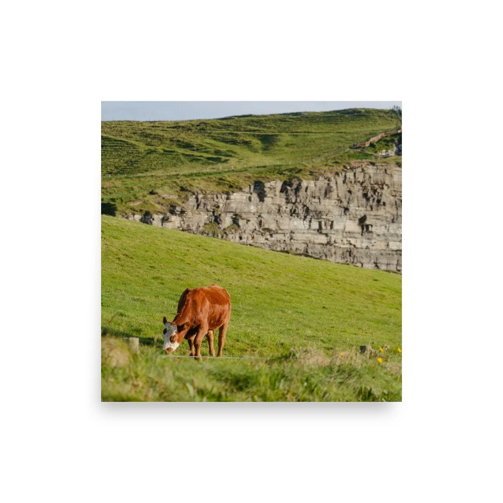 premium-luster-photo-paper-poster-(in)-10x10-front-636d2066c4cef.jpg