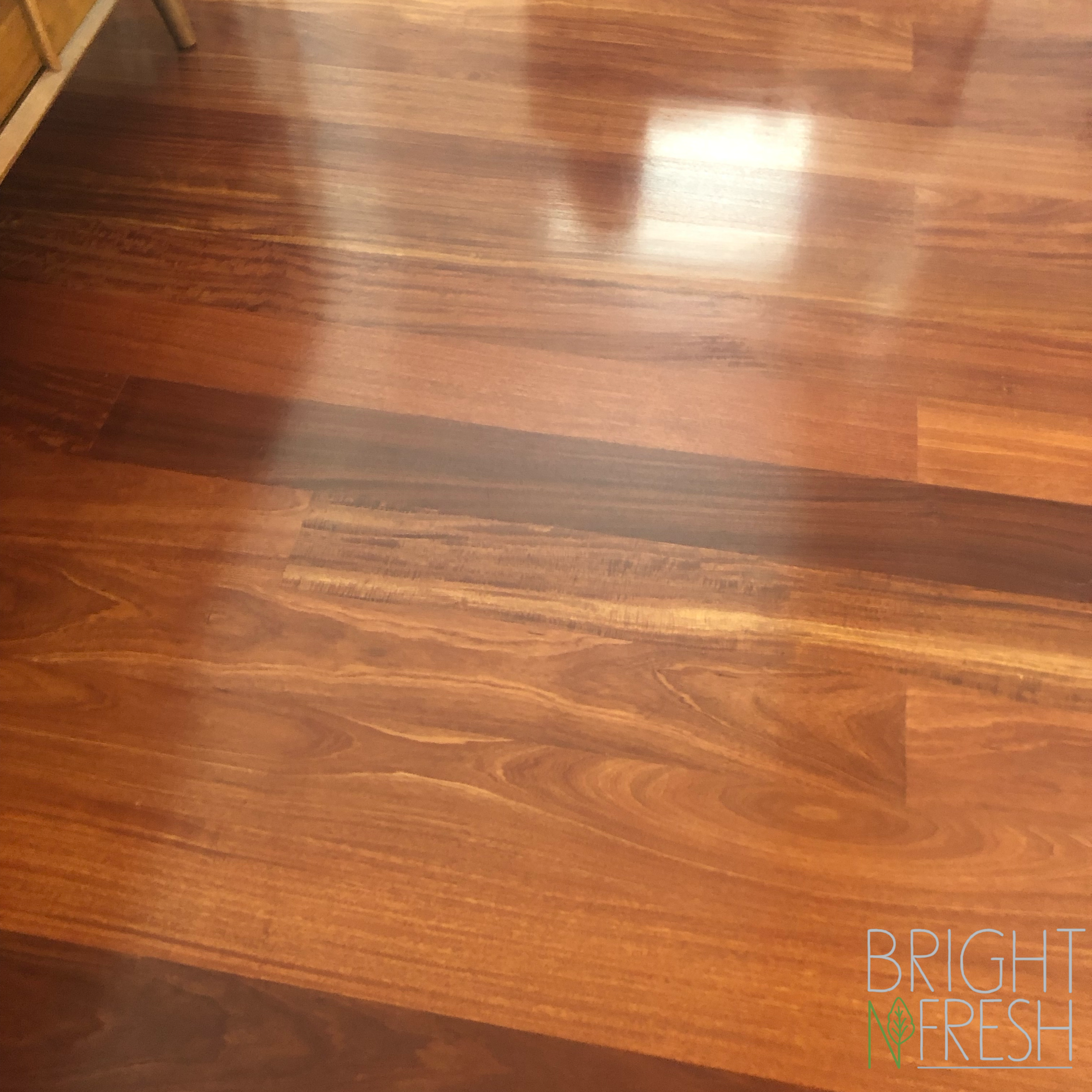 Floor Cleaning