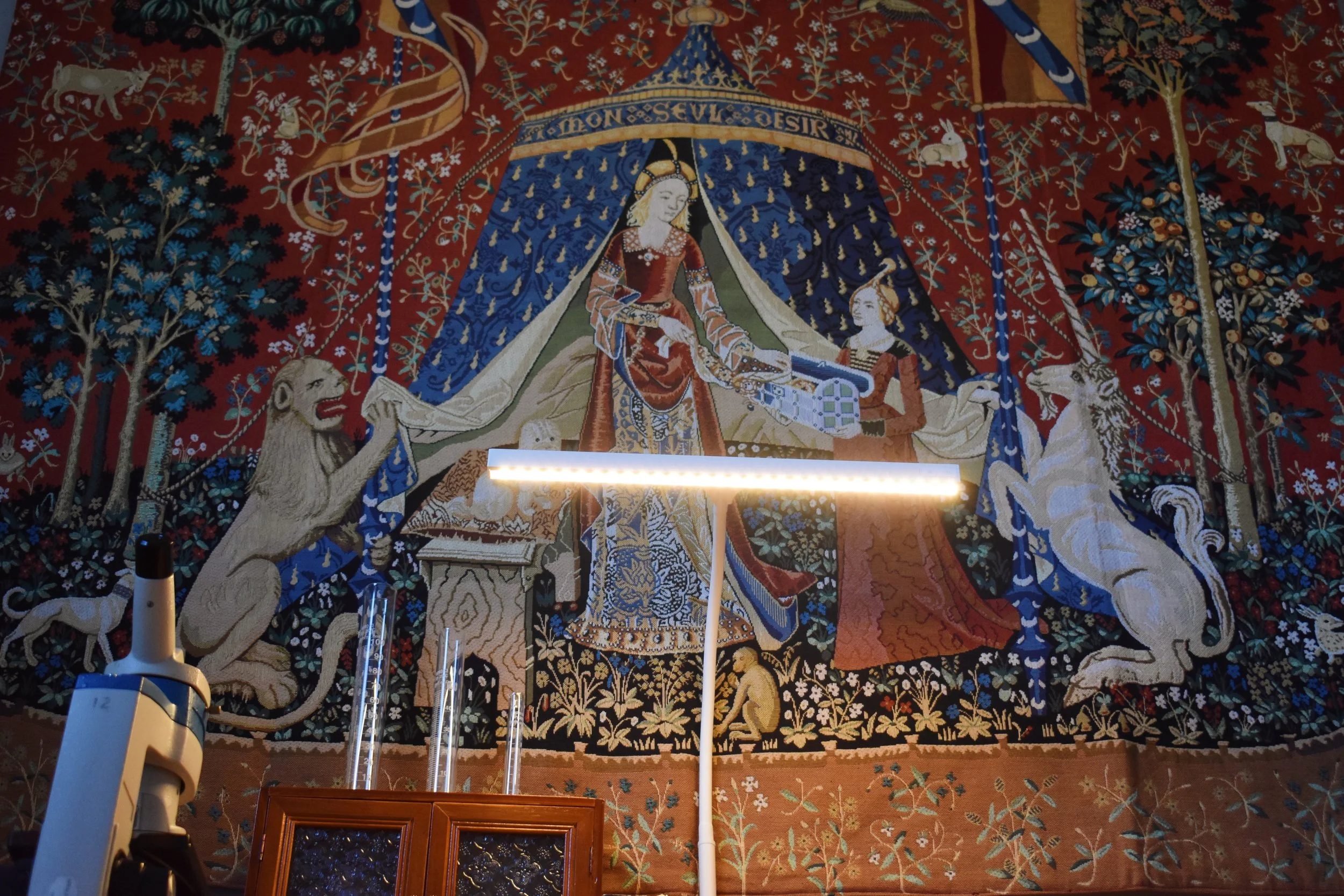 A New Year at the Southeast Maritime Conservation Laboratory