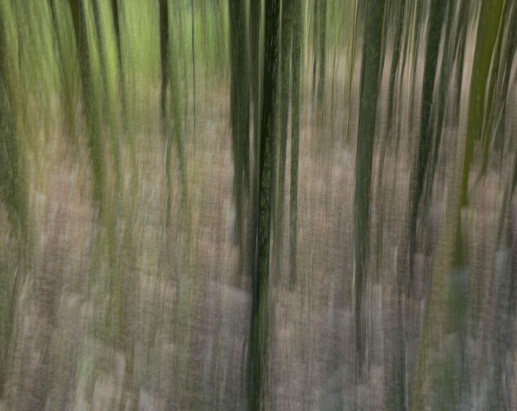 Screenshot+2026-08-21+at+12.20.26%E2%80%AFPM.png