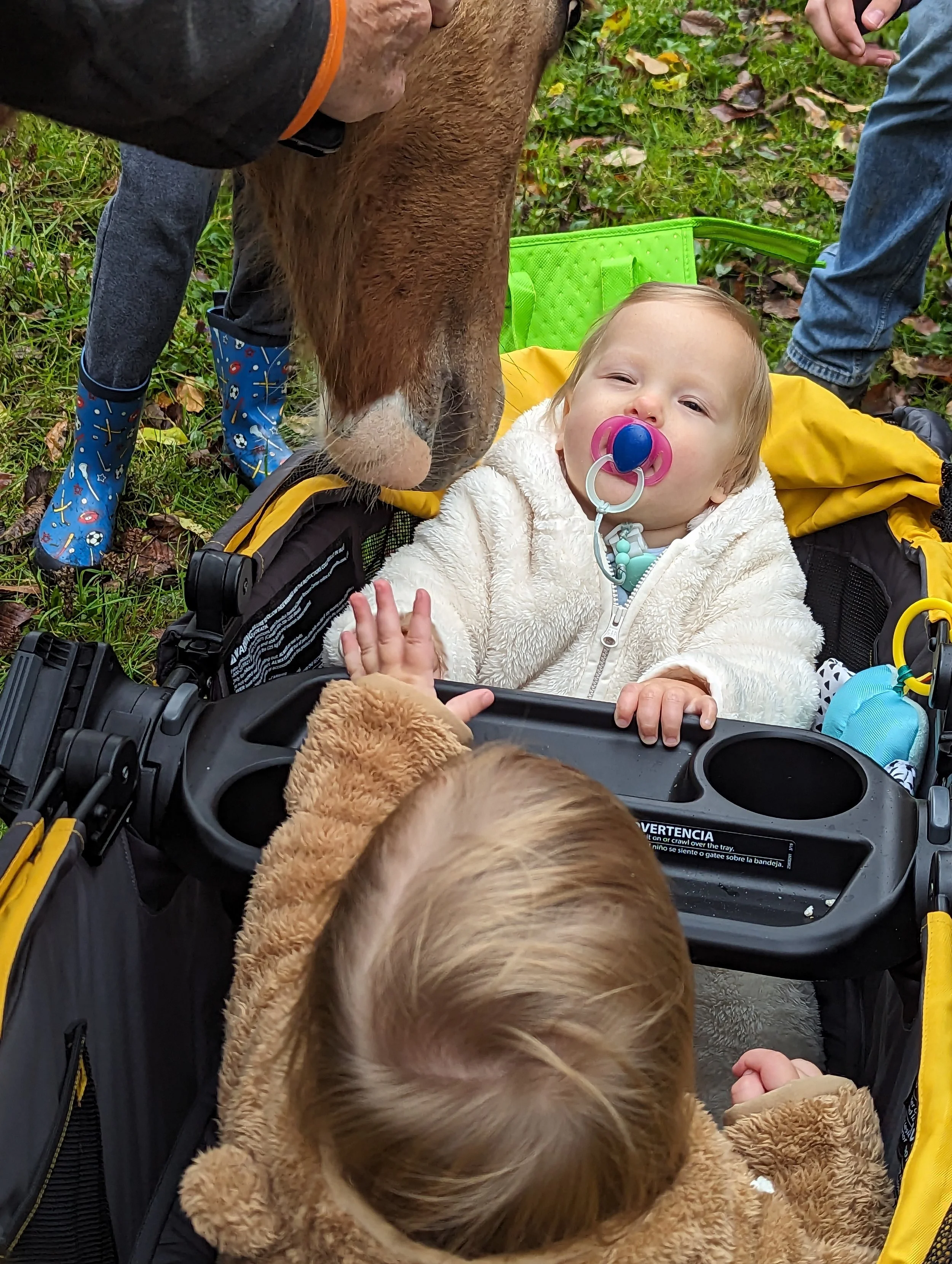 Babies meeting babies