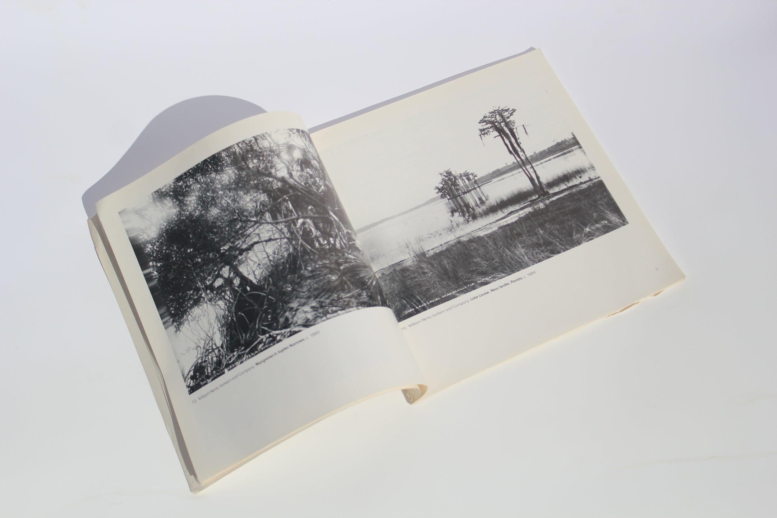 Sun and the Shade: Florida Photography by Bruce Weber – 1983 First Edition