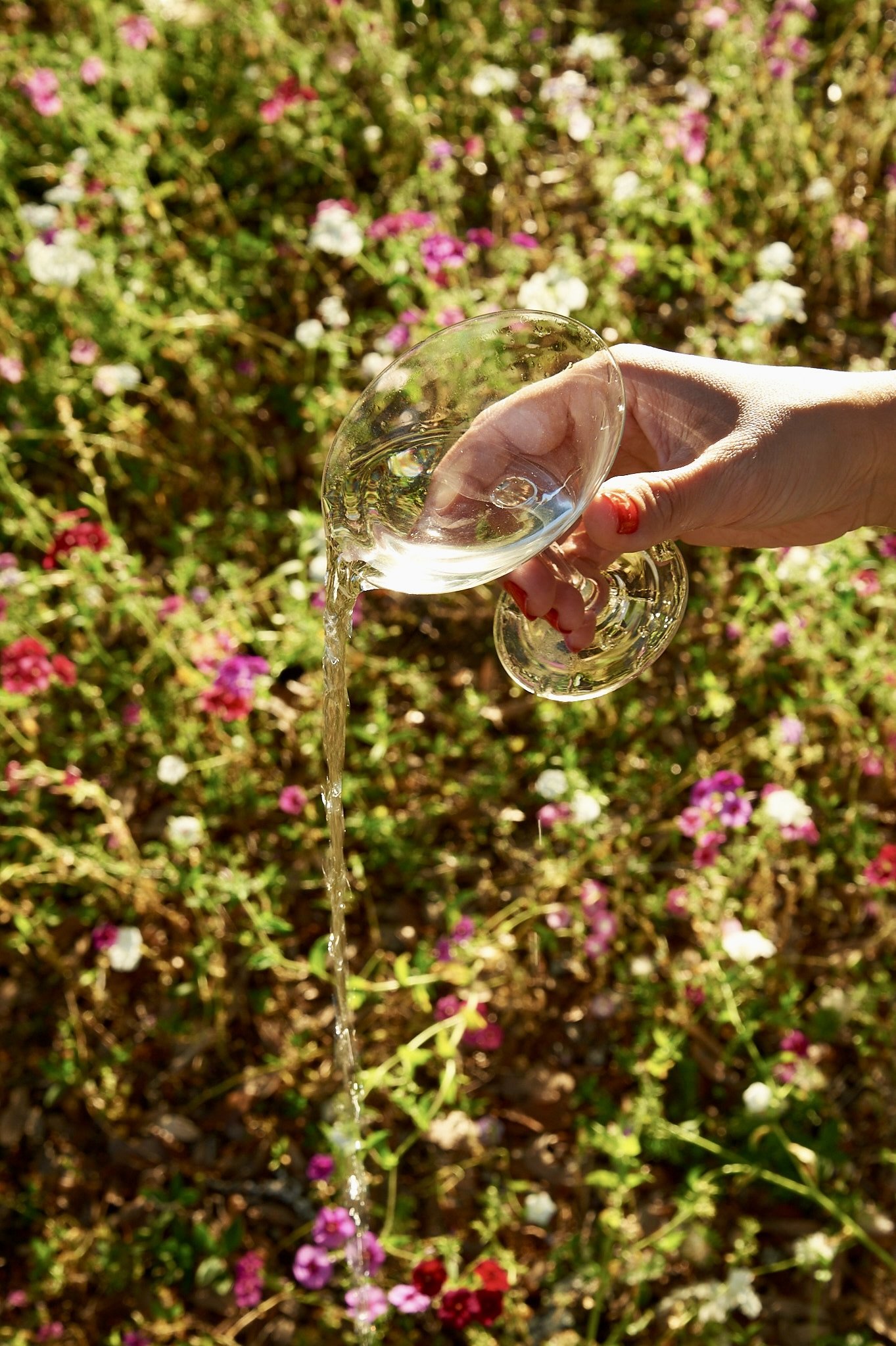 Vintage Super Delicate Coupe Glasses