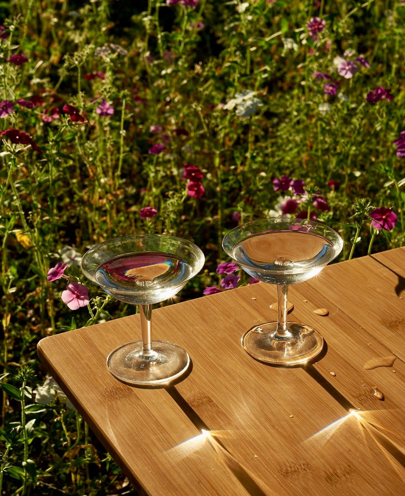 Vintage Coup Glasses