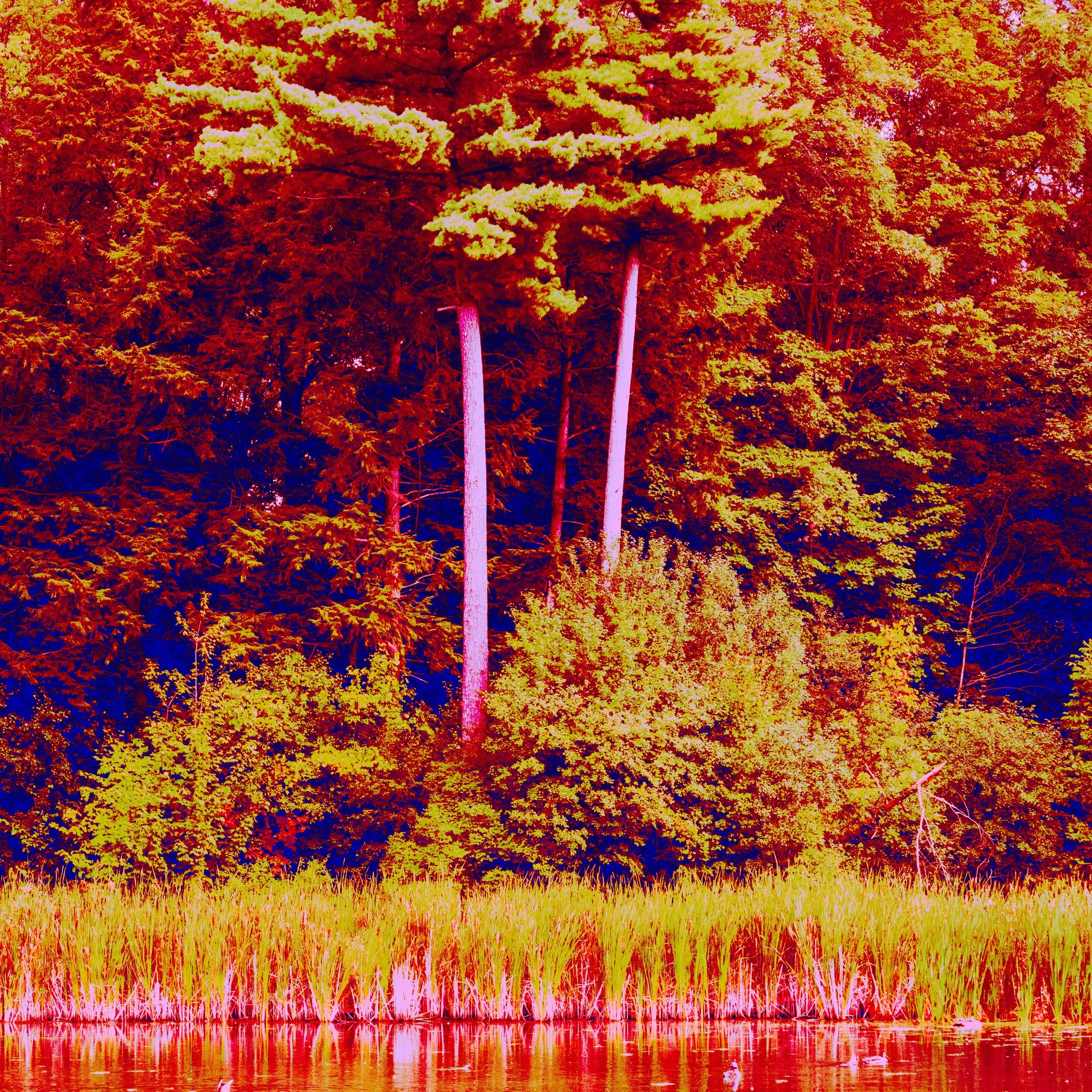 DSC_4162.jpeg