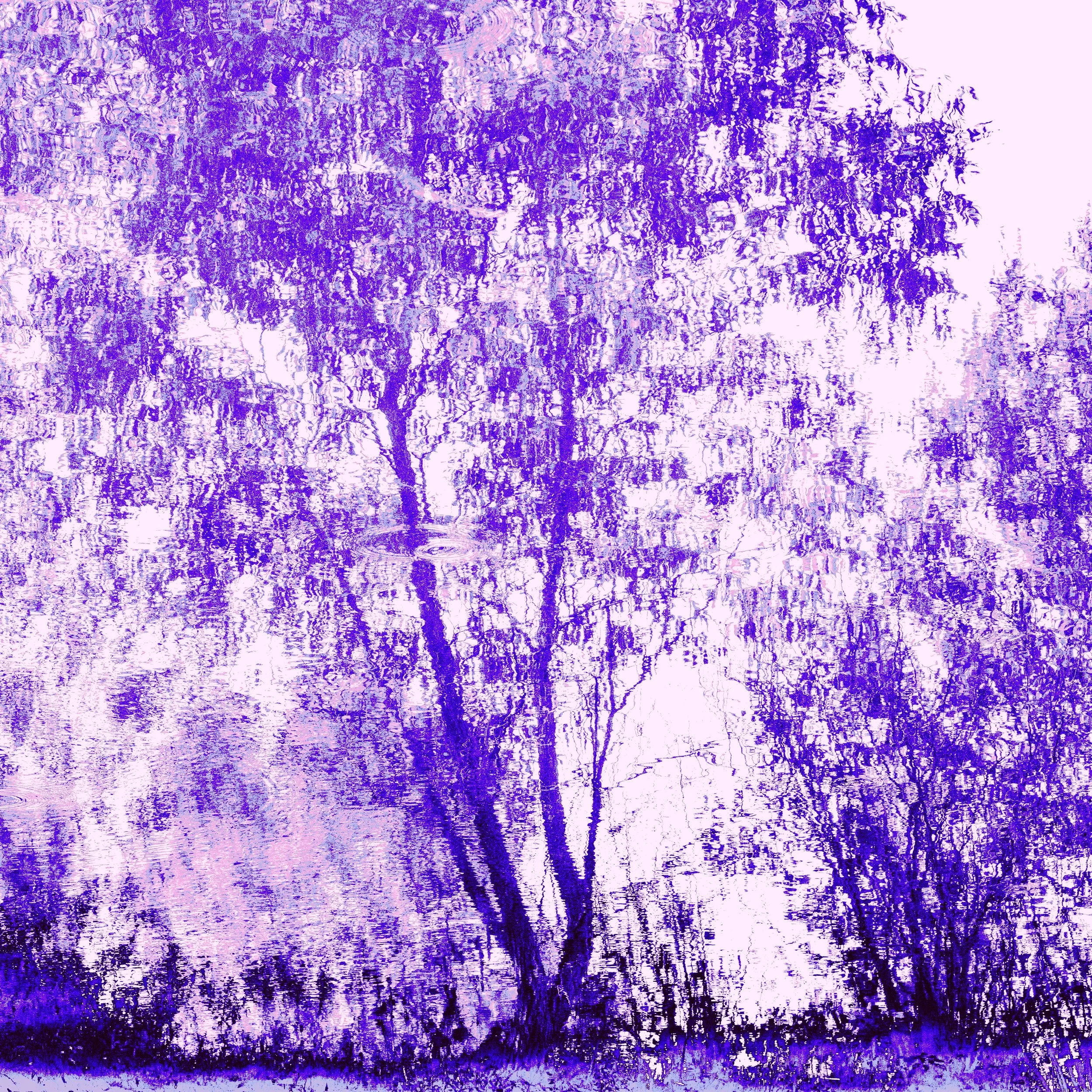 DSC_4223.jpeg
