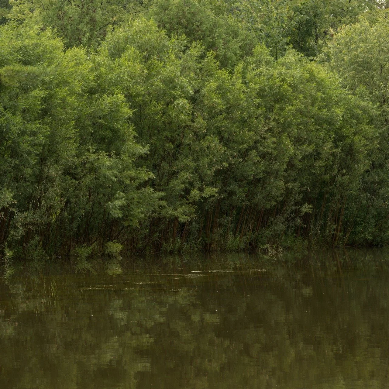 DSC_9002-2 Large.jpeg