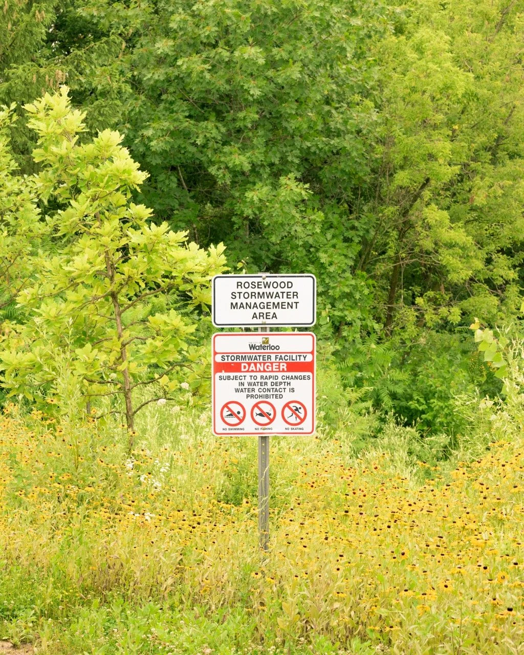 DSC_9031-2 Large.jpeg