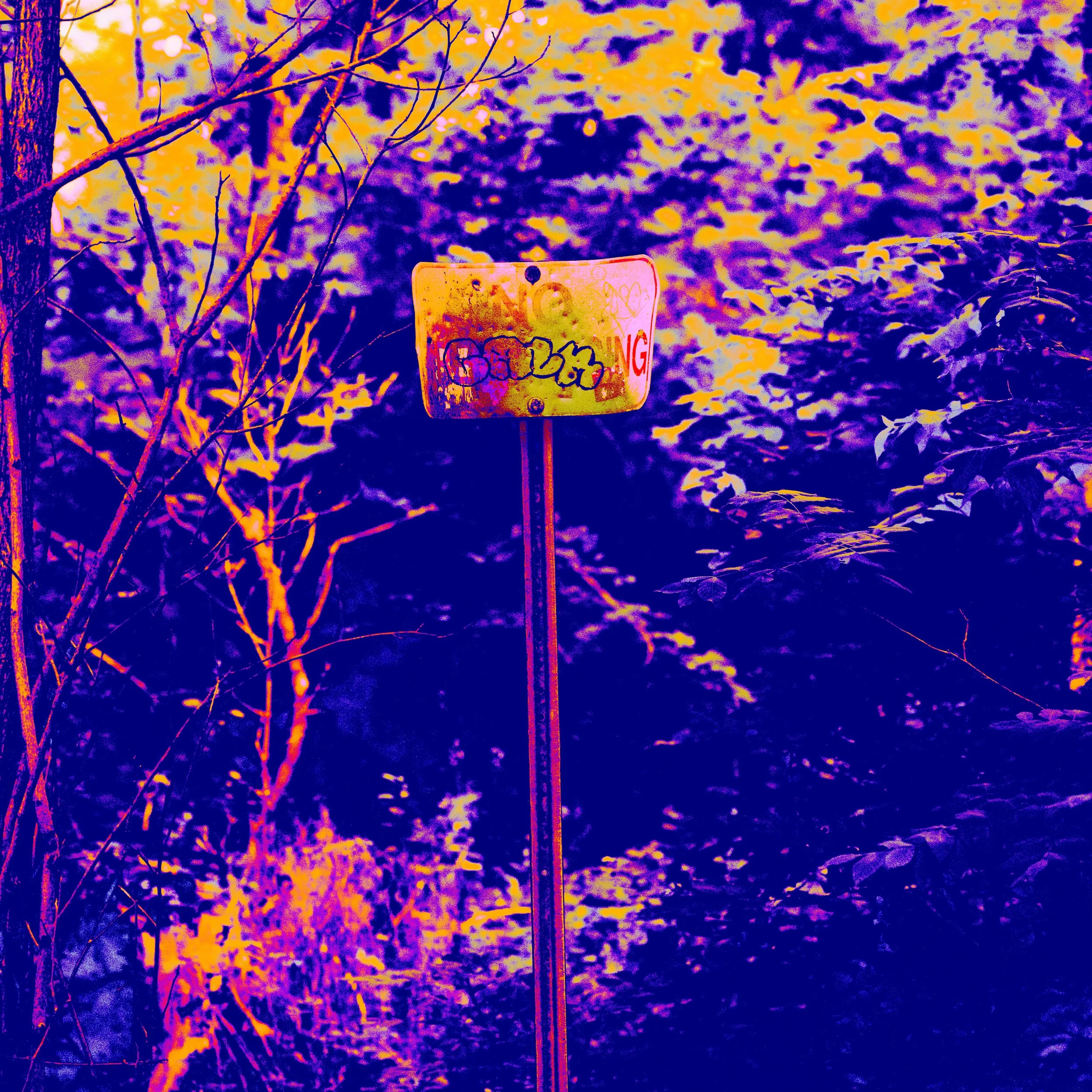 DSC_3924-2.jpeg