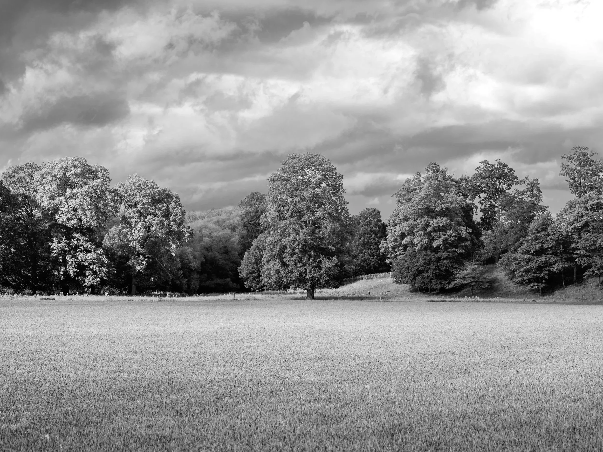 Ecology through the Viewfinder