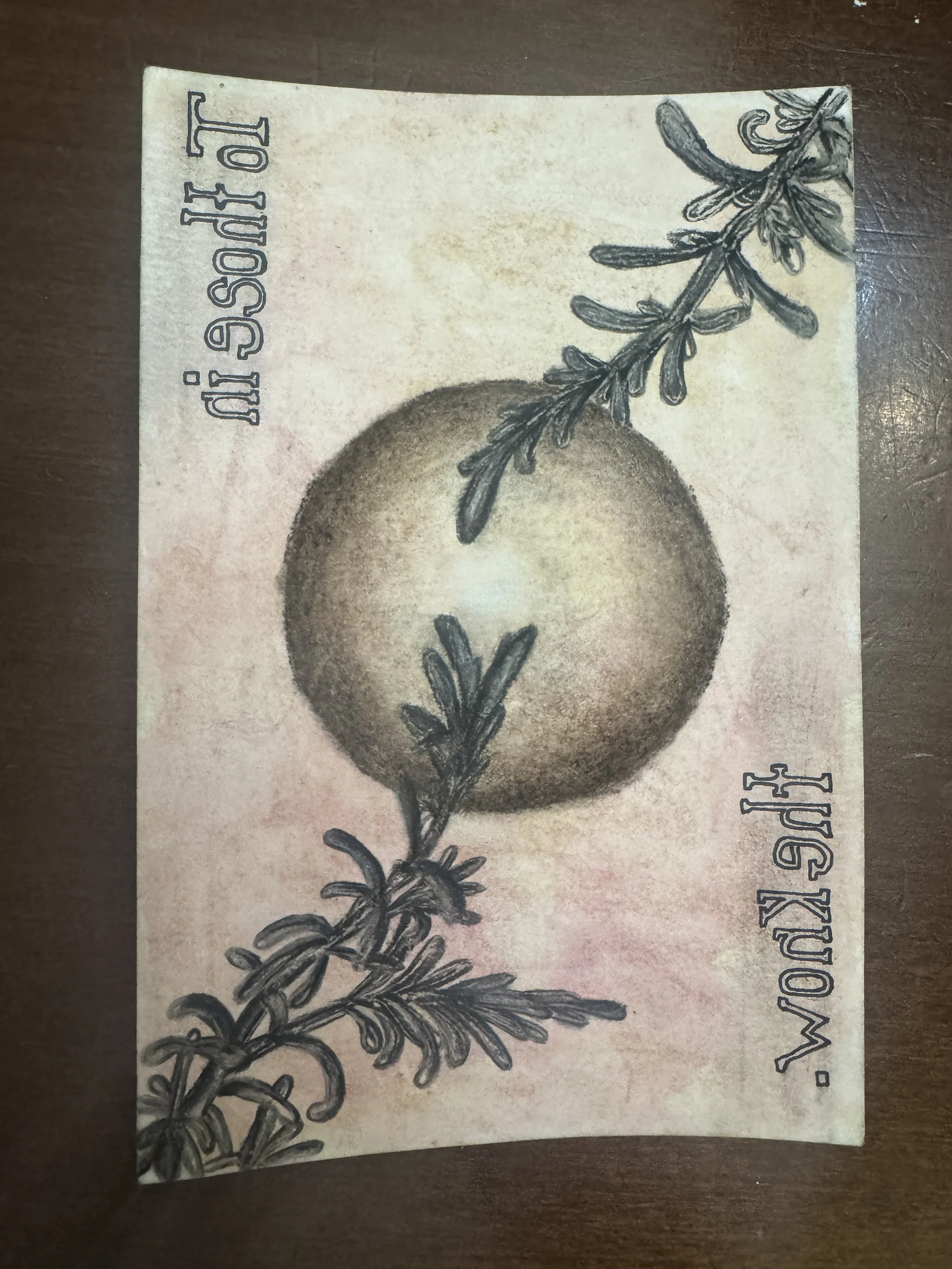 An assignment in Italian history, class in Italy, learning and evolving my art forms.