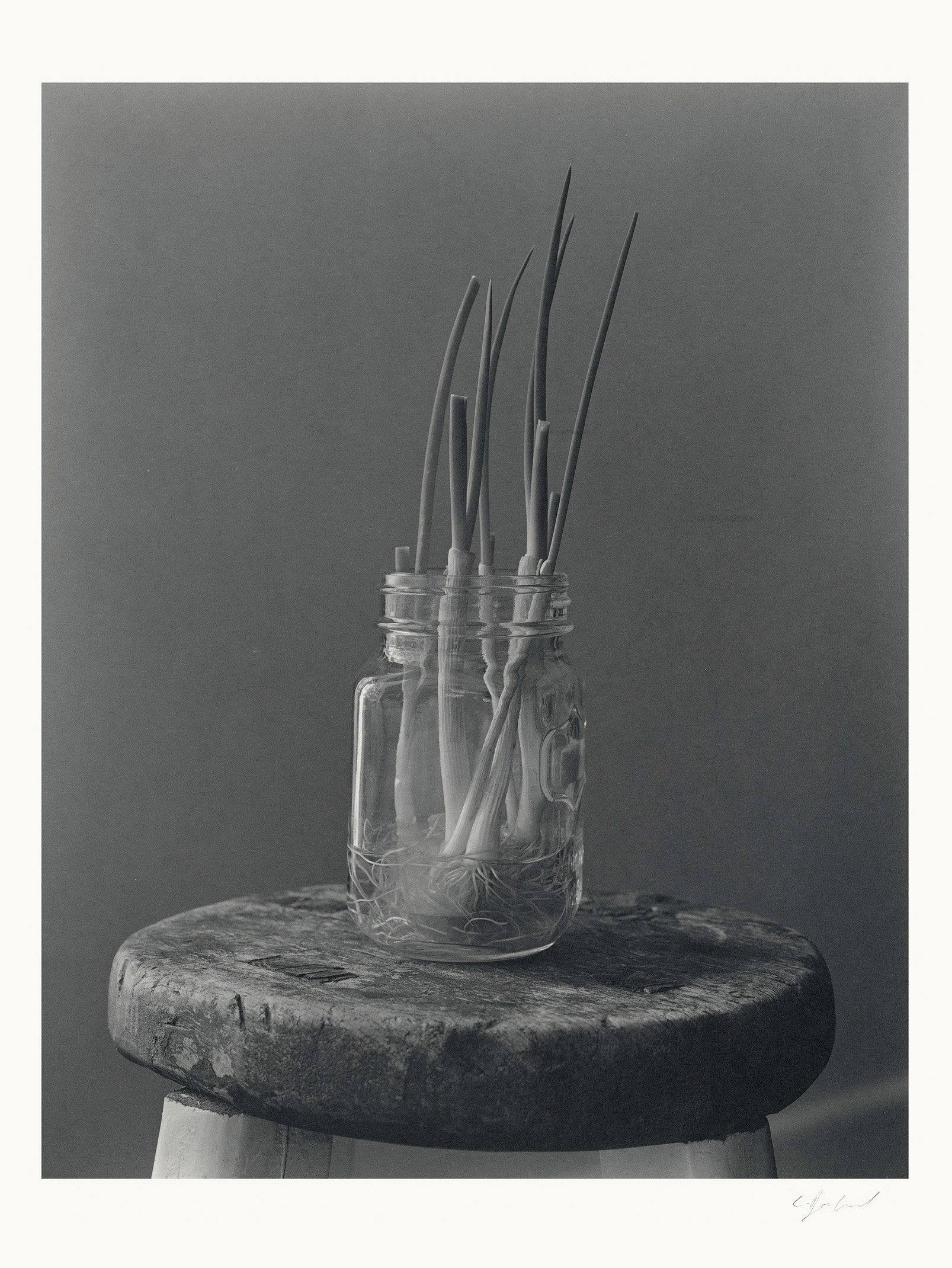 P001_Springonions_in_jar_palladium_8x10_1of3_signed.jpg