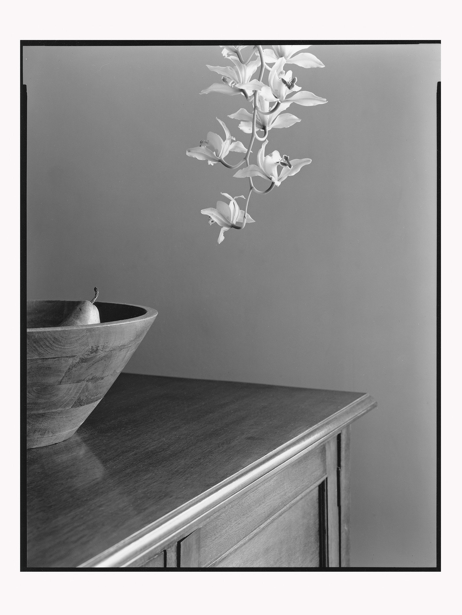 Cymbidium Orchid and Pear