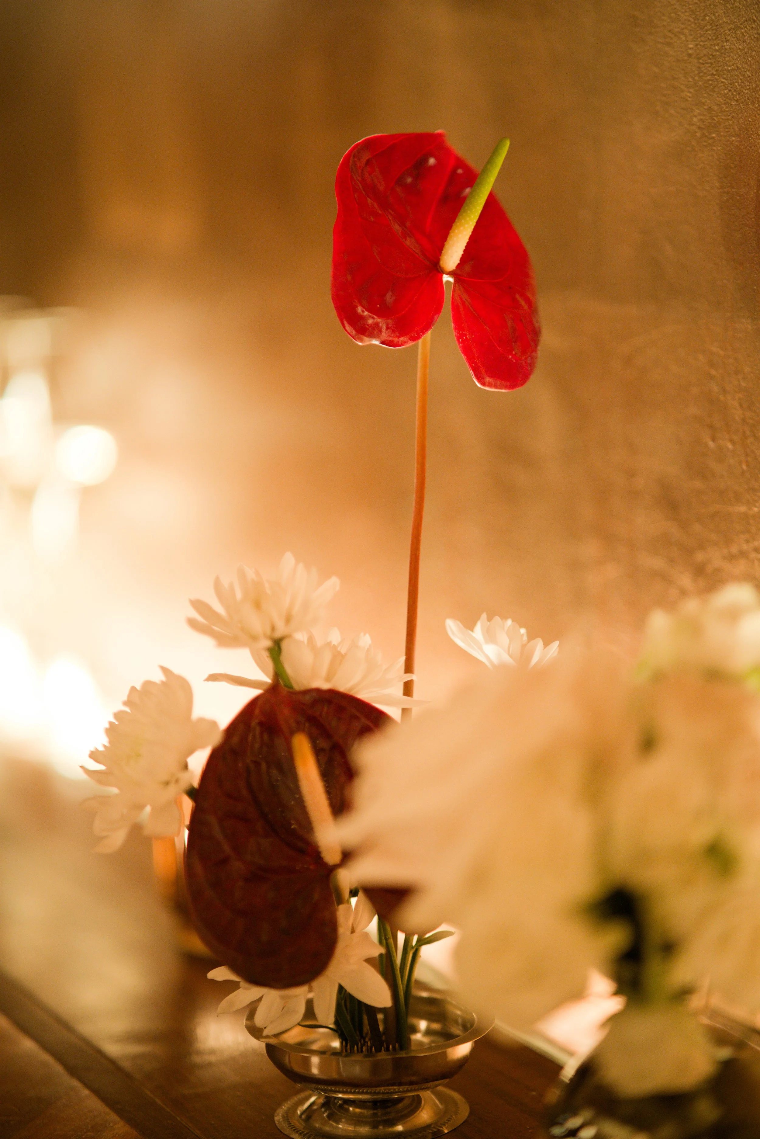 DSC09481 (Custom).jpg