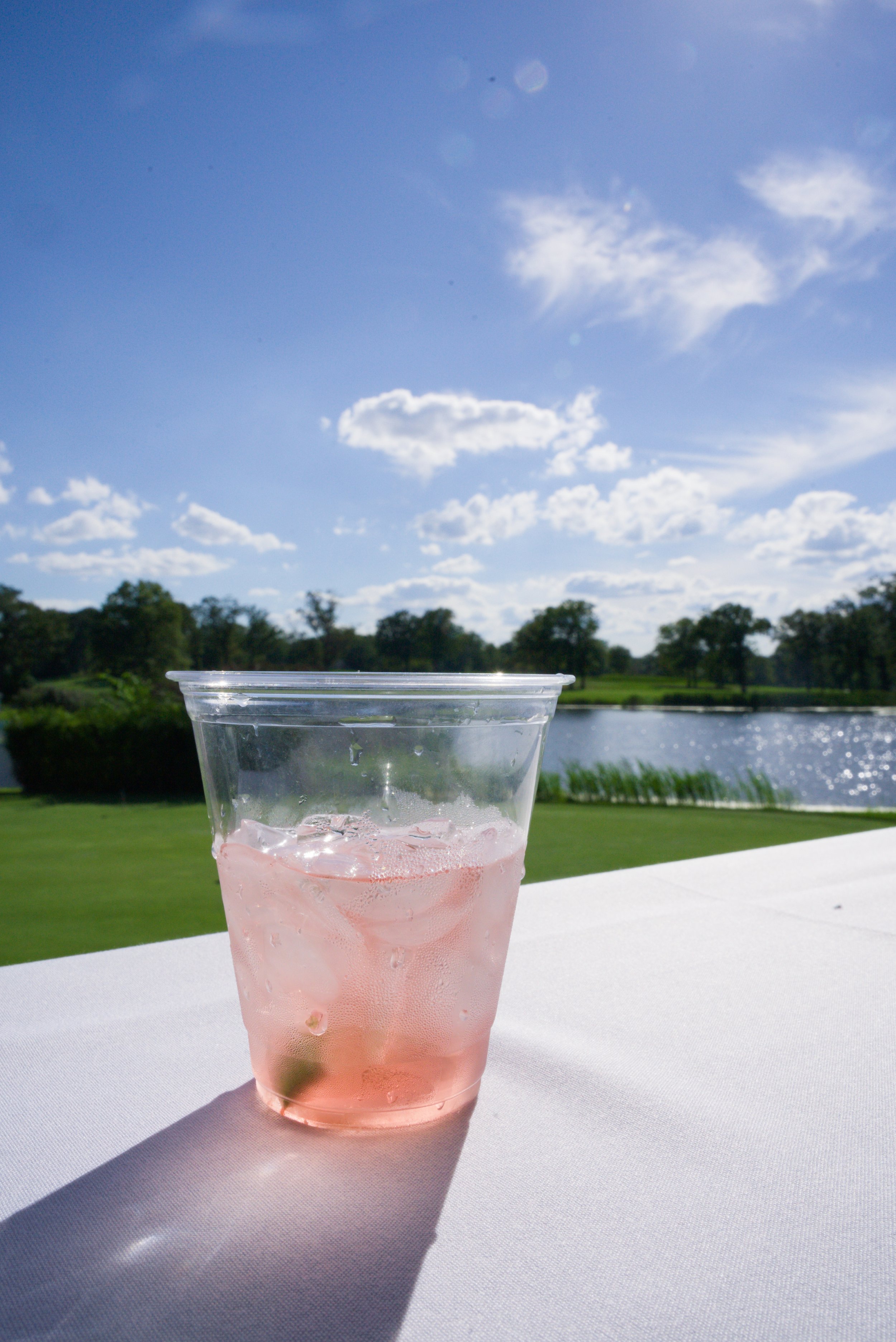 DSC07899 (Custom).jpg