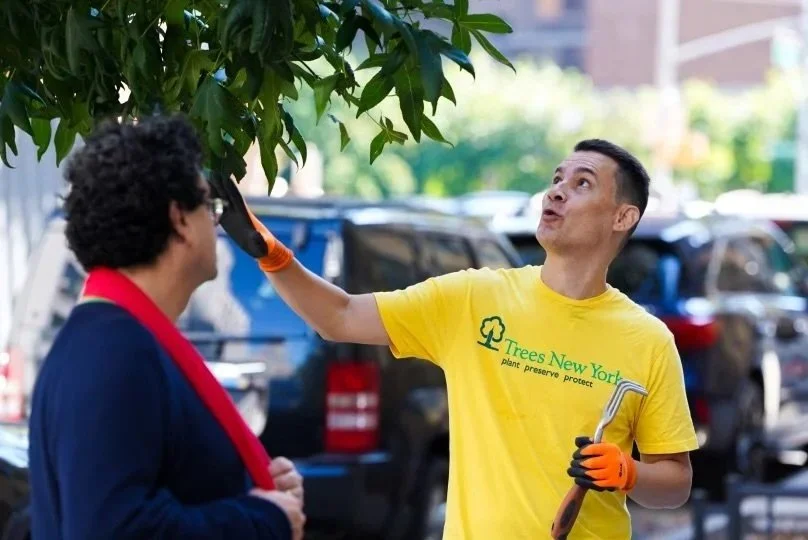 New York City's Green Room