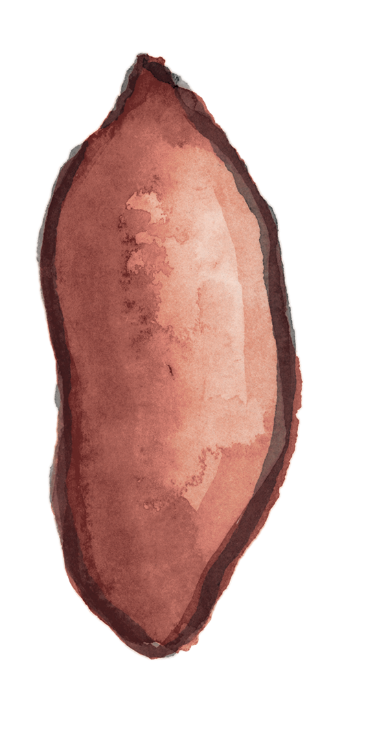 ac_sweetpotato_color.png