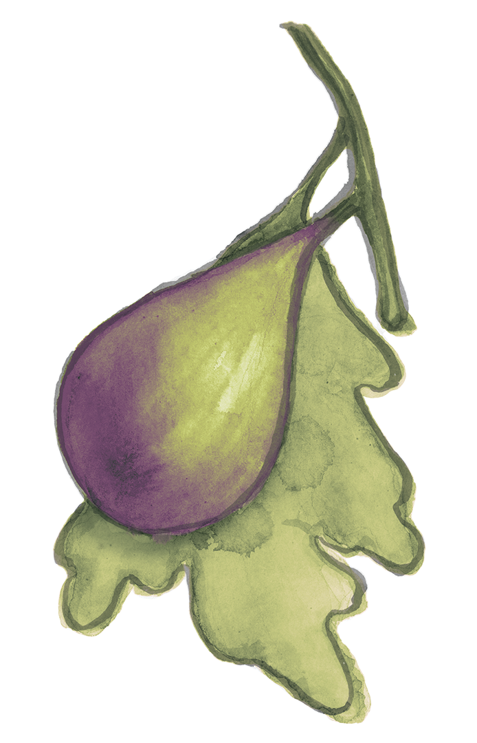 fig copy.png