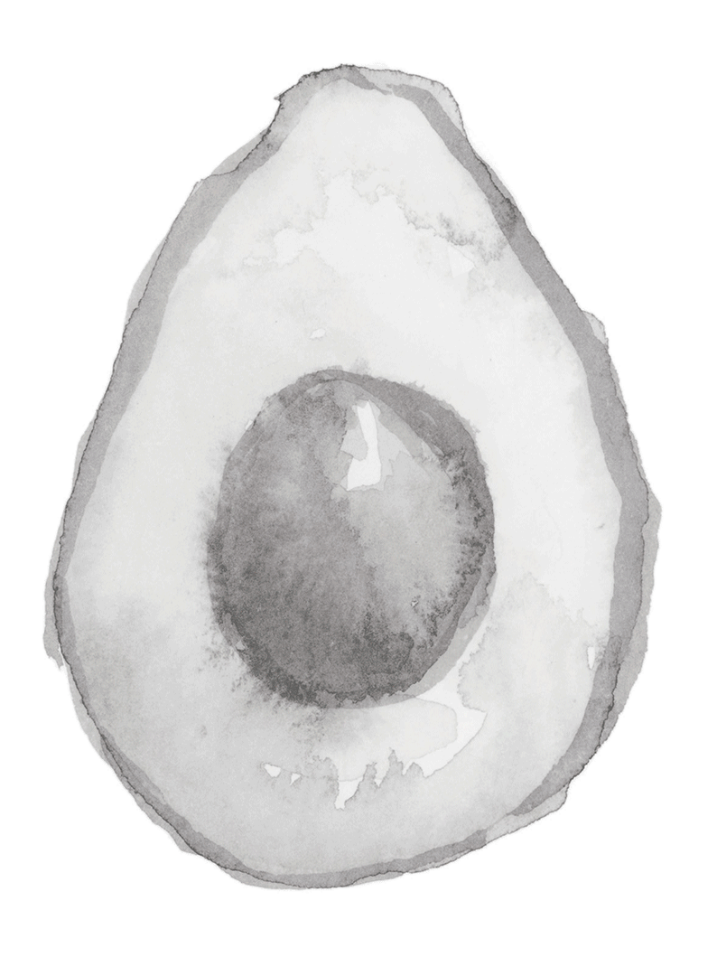 avo-illo-anim.gif