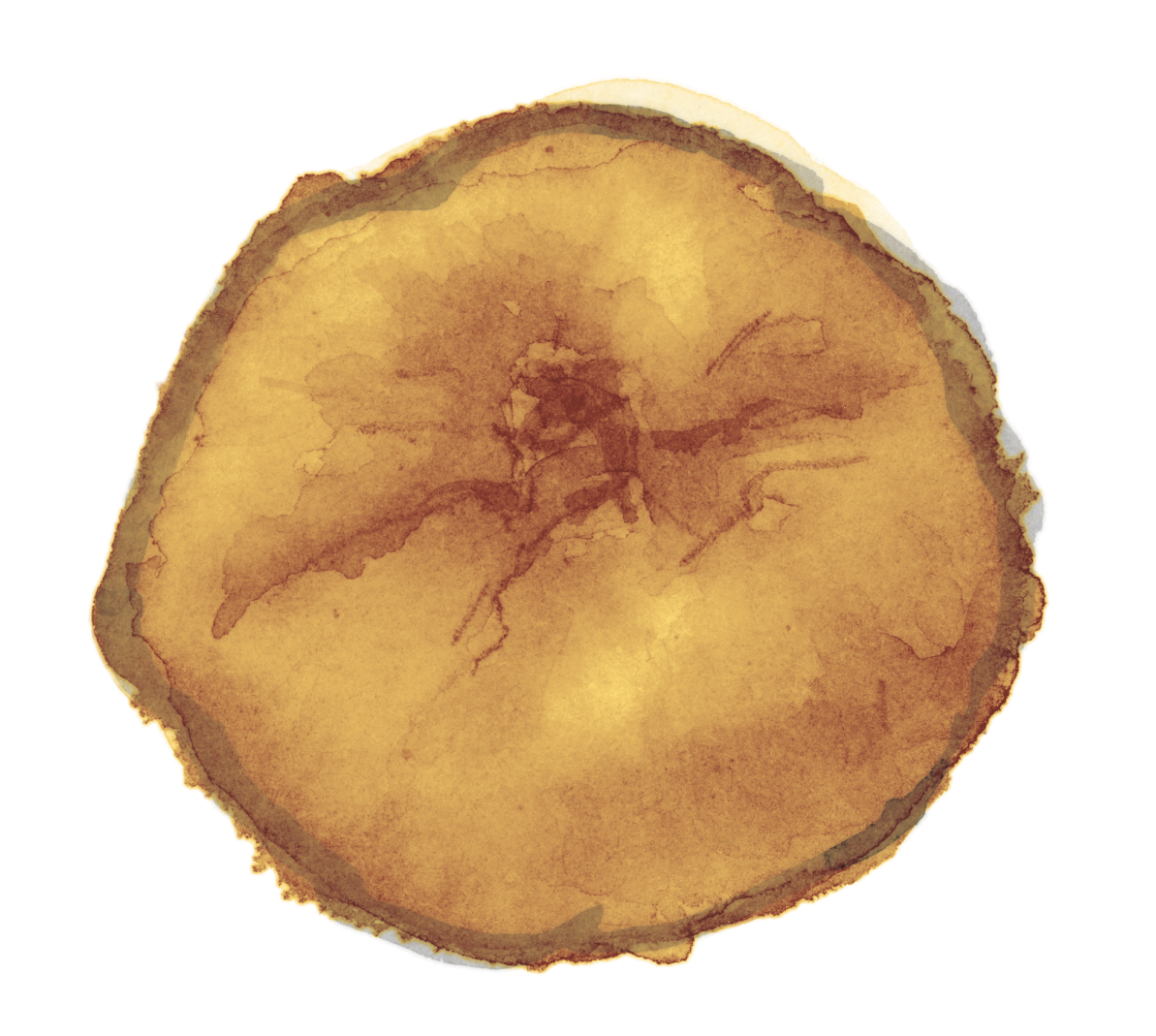 state_dried2_fig copy.png