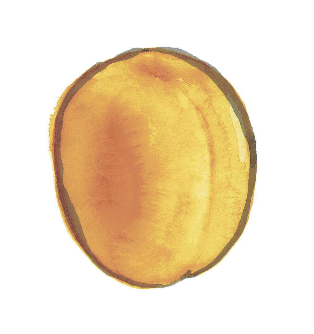 apricot copy.png