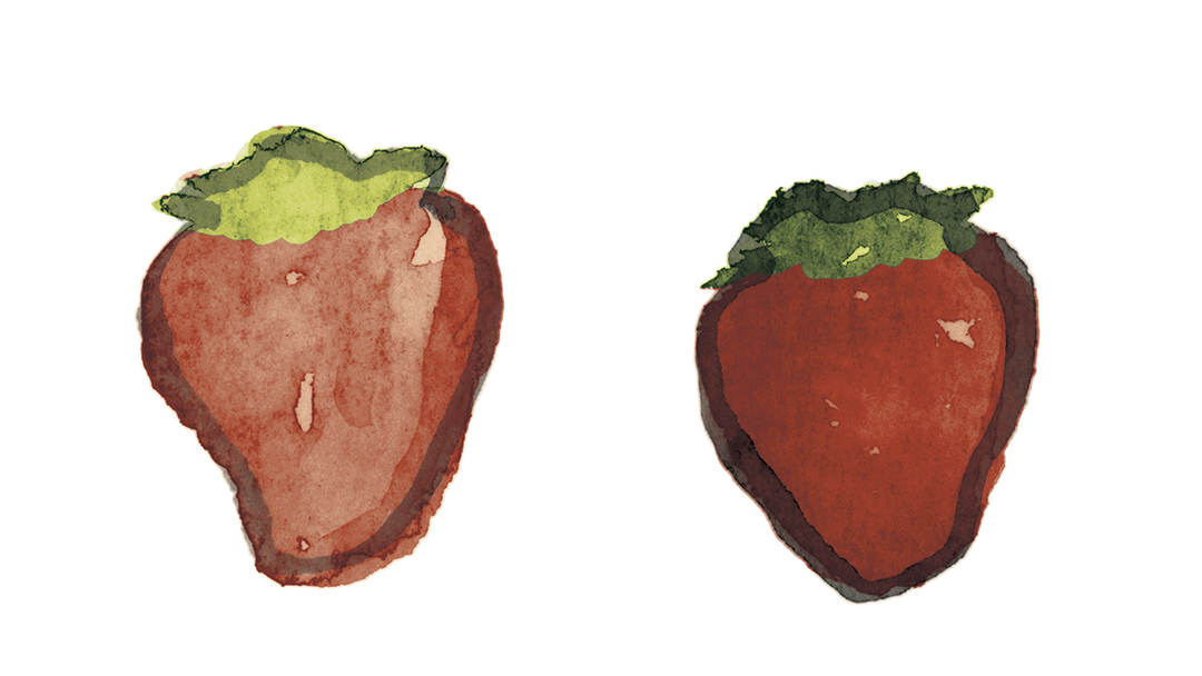 ac_strawberry_color.png