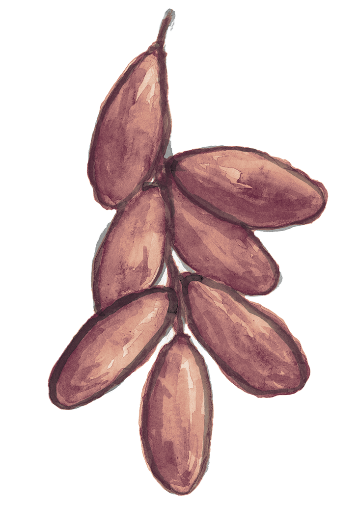 date copy.png