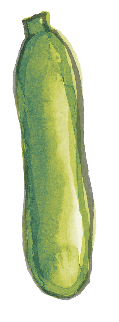 ac_zucchini_color.png