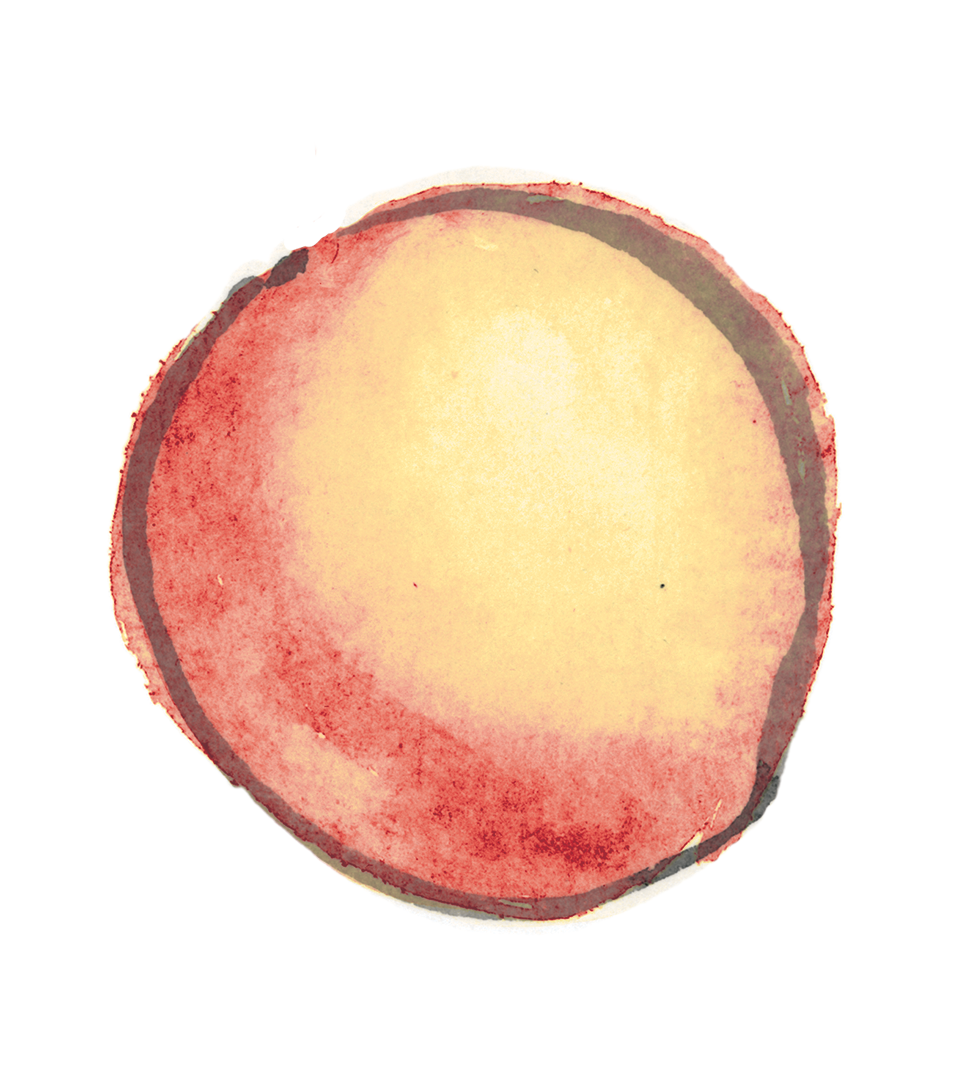 ac_peach_color.png