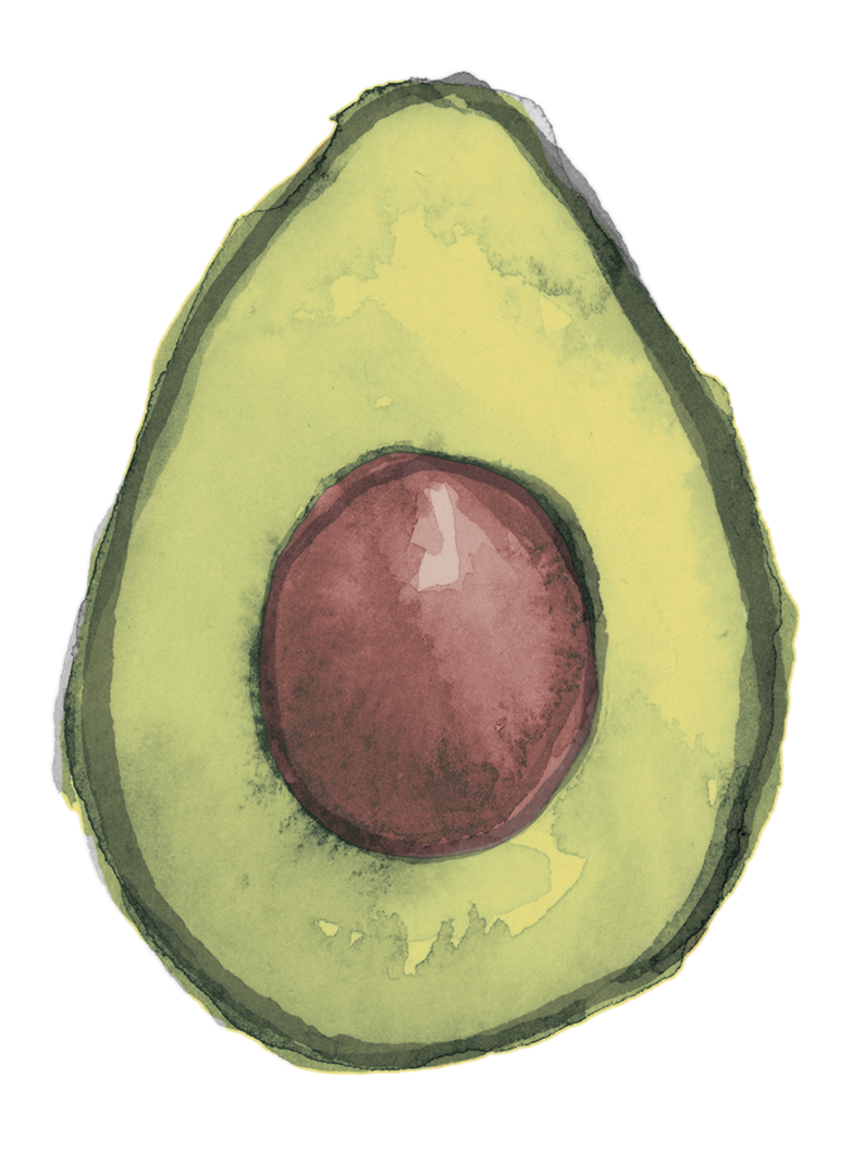 AC_avocado_color.png