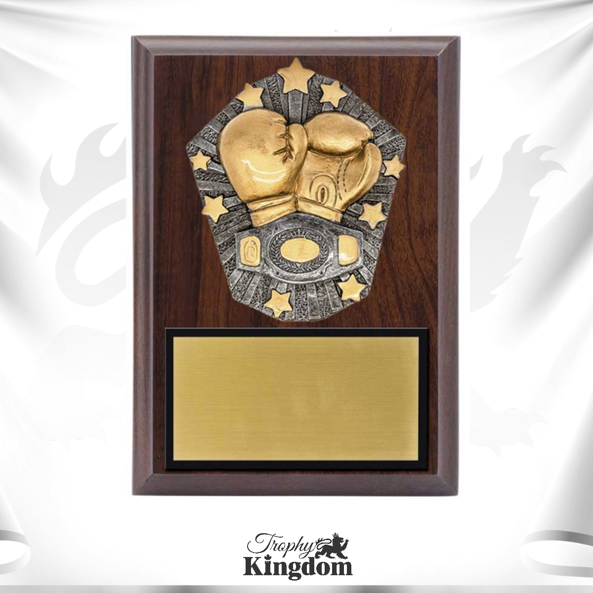 Boxing Plaques — Boxing Awards and Trophies Canada — Trophy Kingdom ...