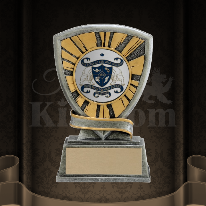 Starburst School Trophy — Trophy Kingdom - Most Trusted Trophy Store In ...