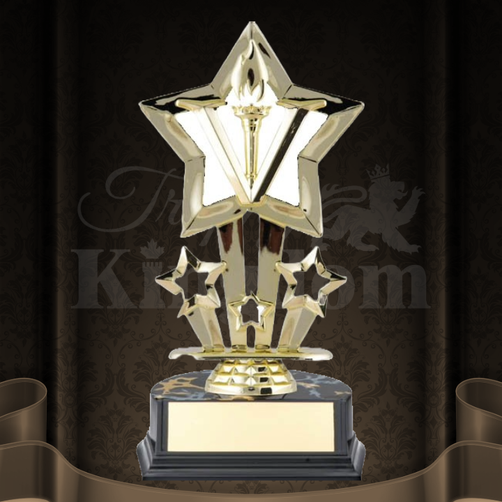 Superstar Victory Trophy — Trophy Kingdom - Most Trusted Trophy Store ...