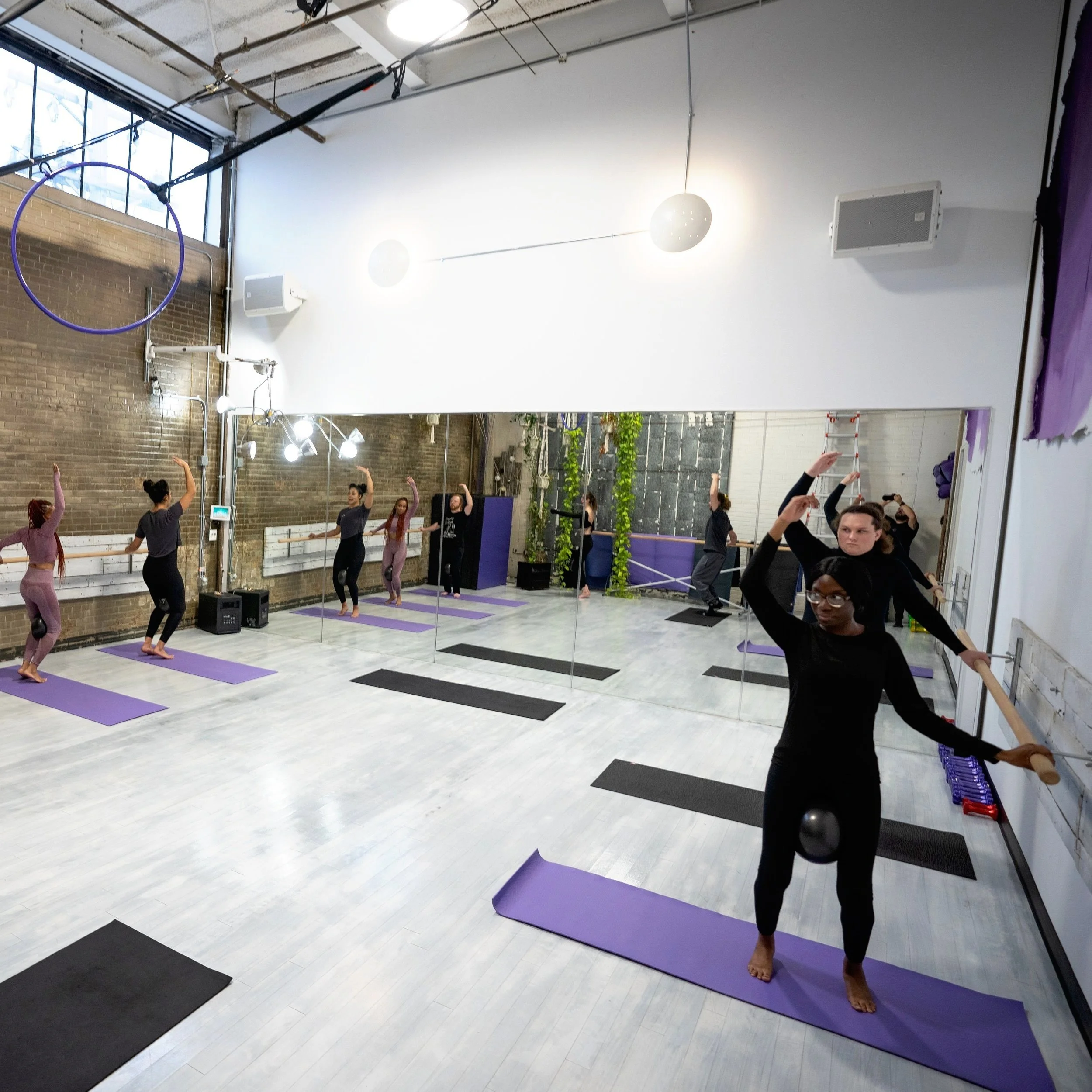 Freak Class Classes — Fly Freak Studio